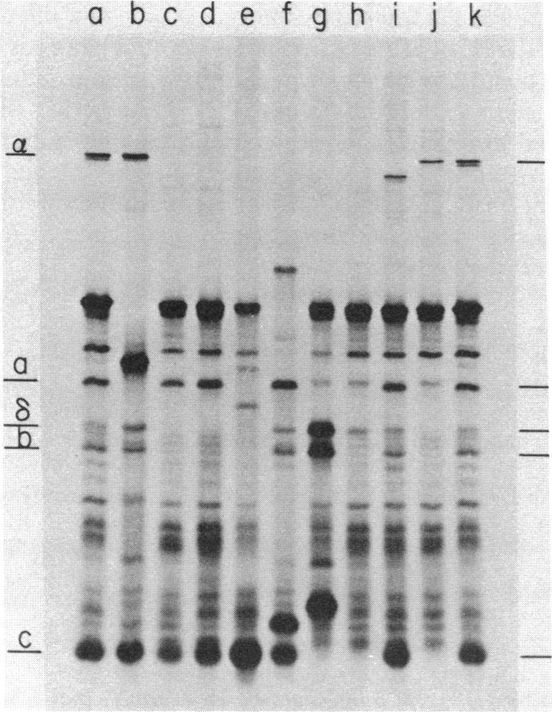https://cdn.ncbi.nlm.nih.gov/pmc/blobs/a543/345718/8e338dd9facb/pnas00441-0123-a.jpg