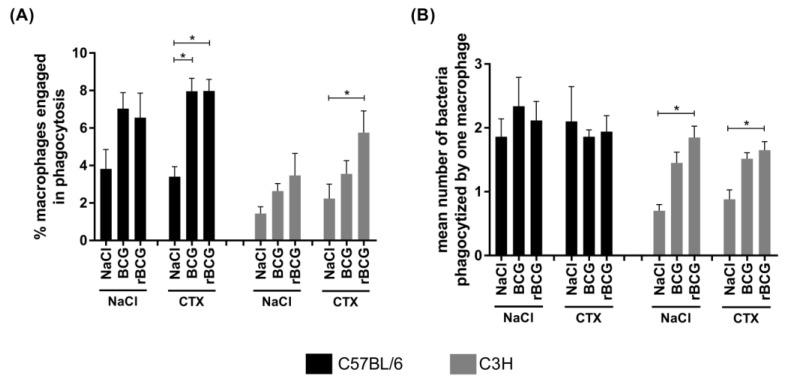 https://cdn.ncbi.nlm.nih.gov/pmc/blobs/a543/9030902/6dc36f90b6d4/vaccines-10-00615-g003.jpg