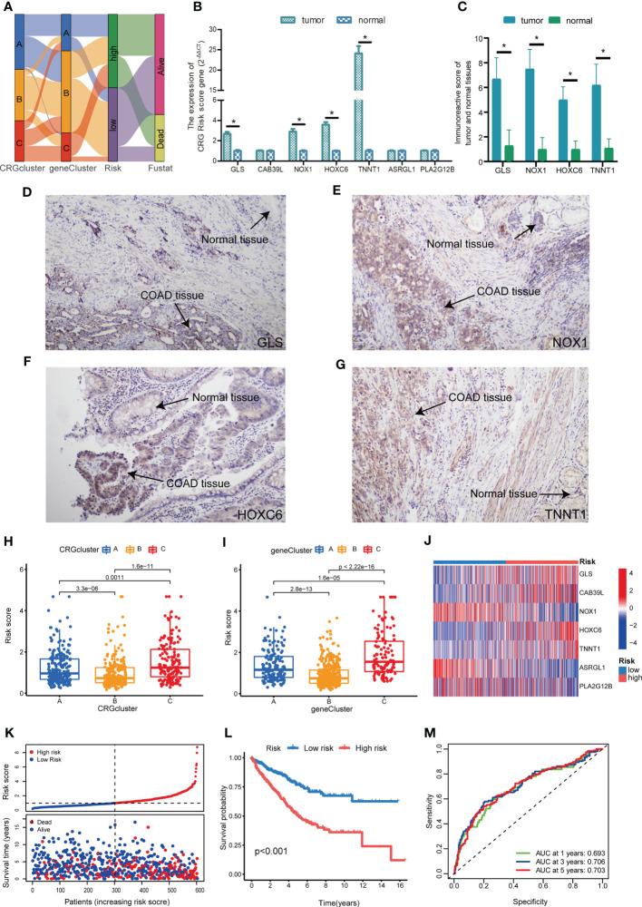 https://cdn.ncbi.nlm.nih.gov/pmc/blobs/a544/10272849/6c37a6c670ae/fonc-13-1152681-g007.jpg