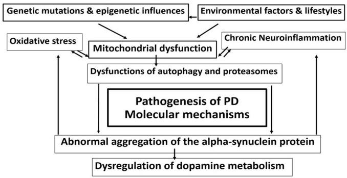 https://cdn.ncbi.nlm.nih.gov/pmc/blobs/a546/12202485/83086fcc82c3/fmed-12-1565275-g001.jpg