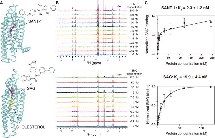 https://cdn.ncbi.nlm.nih.gov/pmc/blobs/a547/9074879/677a659b13f2/peerj-10-13381-g003.jpg