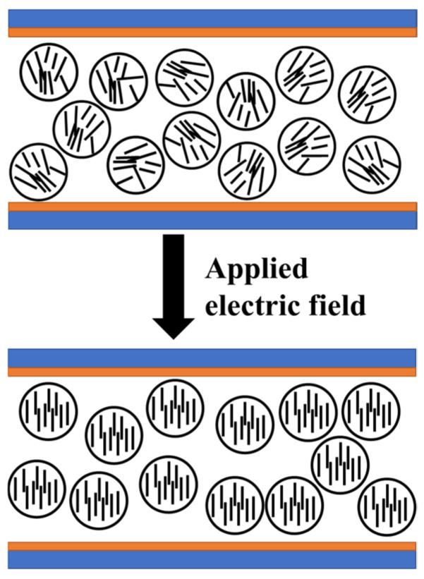 https://cdn.ncbi.nlm.nih.gov/pmc/blobs/a547/9658133/1c85942f05a5/molecules-27-07265-g002.jpg