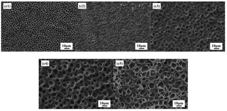 https://cdn.ncbi.nlm.nih.gov/pmc/blobs/a547/9658133/7f600dd9369d/molecules-27-07265-g007.jpg