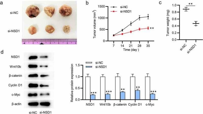 https://cdn.ncbi.nlm.nih.gov/pmc/blobs/a548/8973718/73c83c7f3acc/KBIE_A_2018973_F0005_OC.jpg