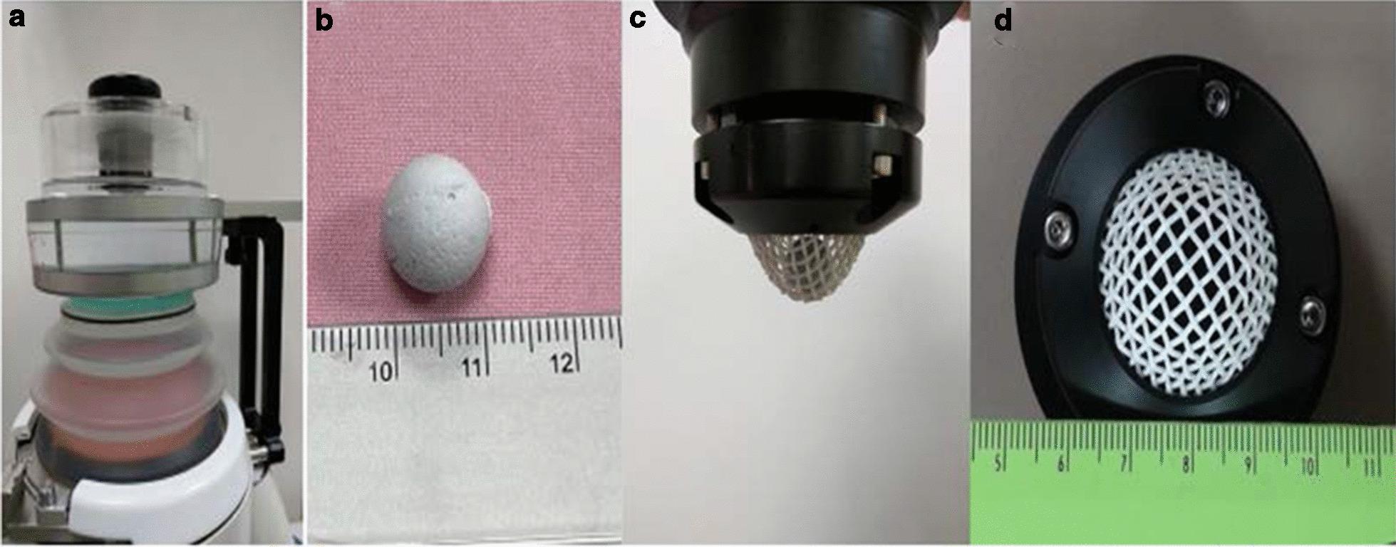 https://cdn.ncbi.nlm.nih.gov/pmc/blobs/a54b/8120698/c10a224a1d70/12894_2021_847_Fig3_HTML.jpg