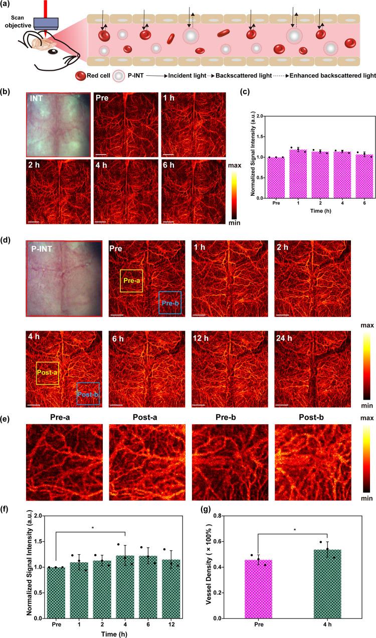 https://cdn.ncbi.nlm.nih.gov/pmc/blobs/a54c/10976961/18780bda81dc/nn4c01204_0004.jpg