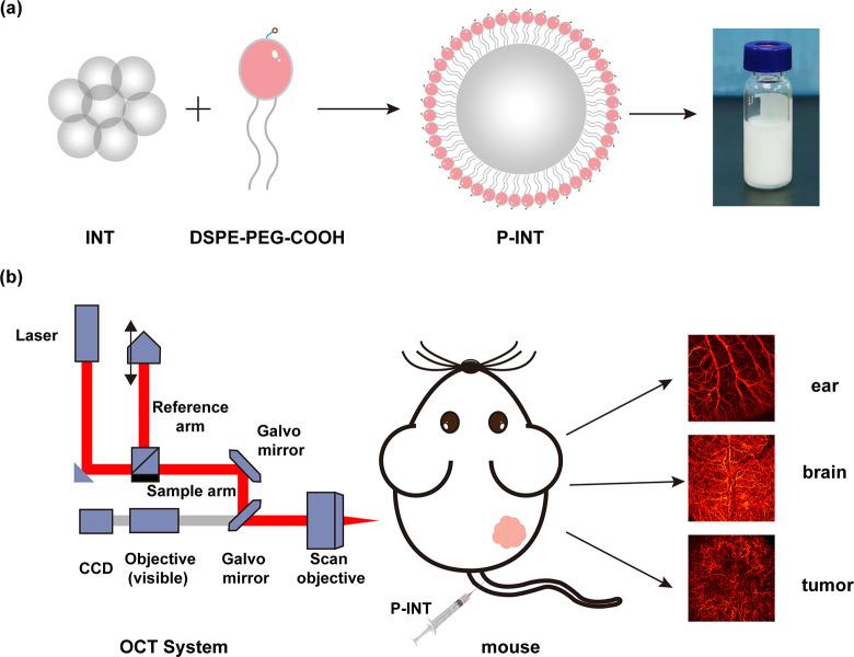 https://cdn.ncbi.nlm.nih.gov/pmc/blobs/a54c/10976961/7a609de32c88/nn4c01204_0001.jpg