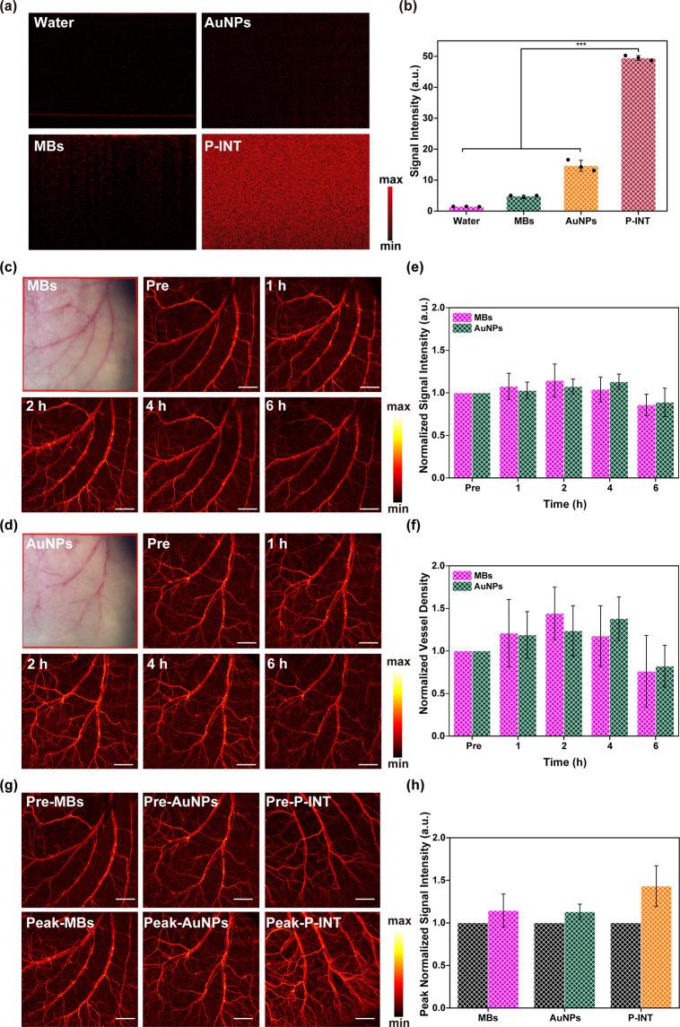 https://cdn.ncbi.nlm.nih.gov/pmc/blobs/a54c/10976961/a234663d6243/nn4c01204_0008.jpg