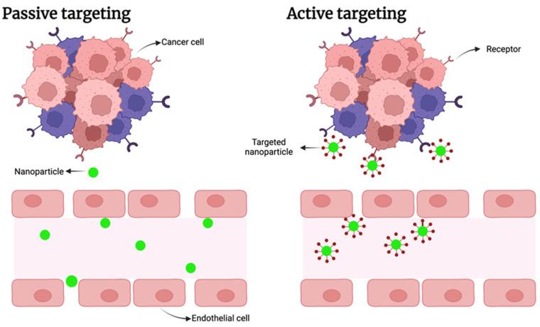 https://cdn.ncbi.nlm.nih.gov/pmc/blobs/a54c/11354327/8493e7adfeb4/ijms-25-08934-g005.jpg
