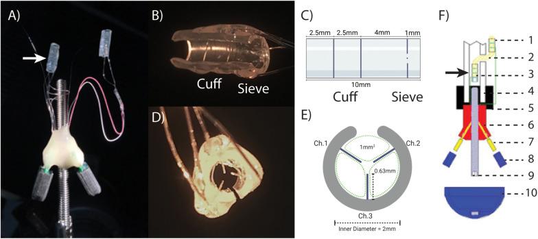 https://cdn.ncbi.nlm.nih.gov/pmc/blobs/a552/8006940/503b8d34a7df/fnins-15-613844-g001.jpg