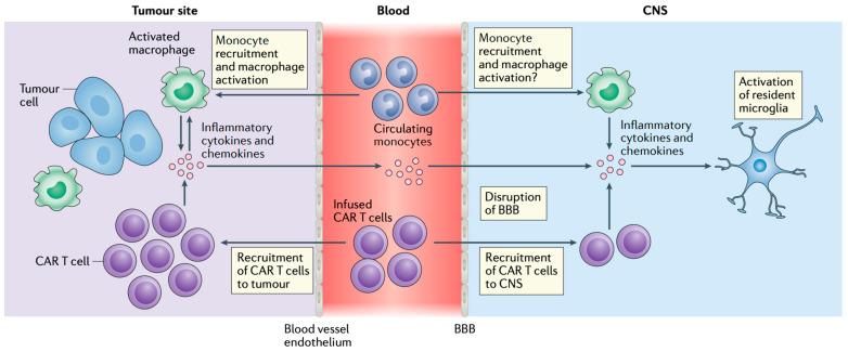 https://cdn.ncbi.nlm.nih.gov/pmc/blobs/a556/12026323/65c4fcc32df1/curroncol-32-00198-g003.jpg