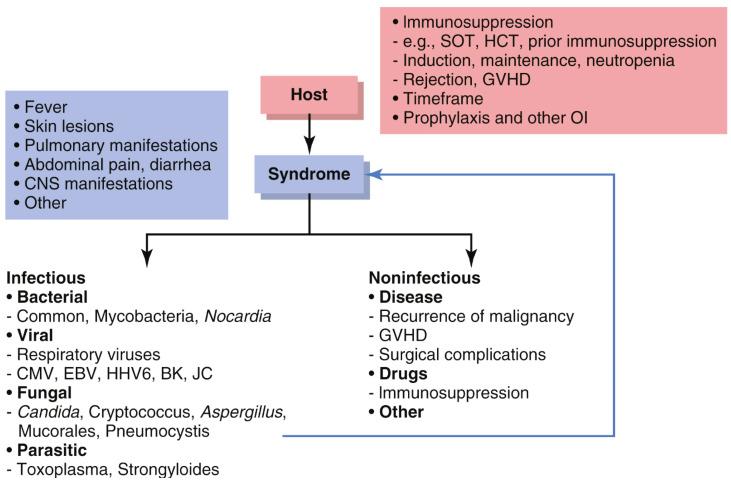 https://cdn.ncbi.nlm.nih.gov/pmc/blobs/a556/12026323/ce73423a807e/curroncol-32-00198-g005.jpg