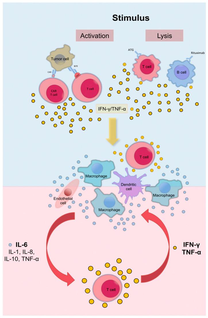 https://cdn.ncbi.nlm.nih.gov/pmc/blobs/a556/12026323/ddb3449185b7/curroncol-32-00198-g002.jpg