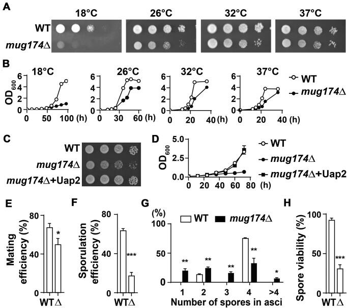 https://cdn.ncbi.nlm.nih.gov/pmc/blobs/a557/11347179/4564a54a12c7/gkae463fig2.jpg