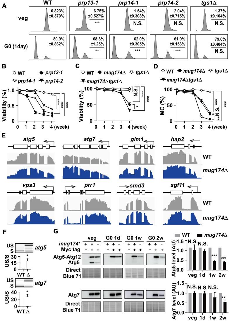 https://cdn.ncbi.nlm.nih.gov/pmc/blobs/a557/11347179/b3ba1f547831/gkae463fig7.jpg