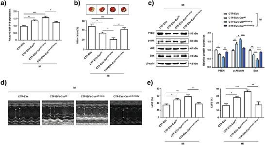 https://cdn.ncbi.nlm.nih.gov/pmc/blobs/a557/12365743/46d27e05152c/ADBI-9-2400623-g001.jpg