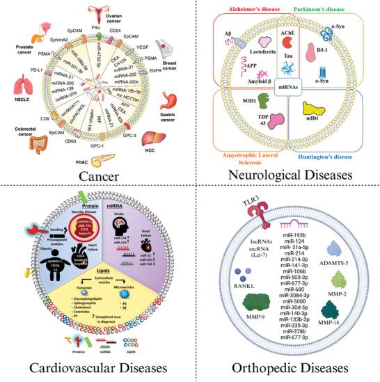 https://cdn.ncbi.nlm.nih.gov/pmc/blobs/a557/12365743/fee5e2e2a763/ADBI-9-2400623-g004.jpg