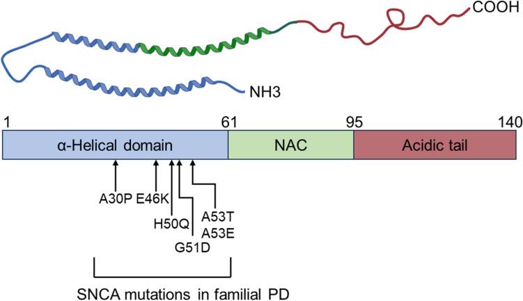 https://cdn.ncbi.nlm.nih.gov/pmc/blobs/a558/12089638/e786d46eee14/10571_2025_1560_Fig1_HTML.jpg