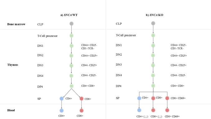 https://cdn.ncbi.nlm.nih.gov/pmc/blobs/a558/12089638/fcff7bfaf7c3/10571_2025_1560_Fig3_HTML.jpg