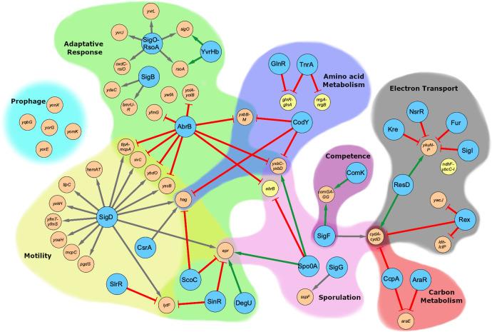 https://cdn.ncbi.nlm.nih.gov/pmc/blobs/a558/7857571/f504064f4783/pgen.1009092.g003.jpg