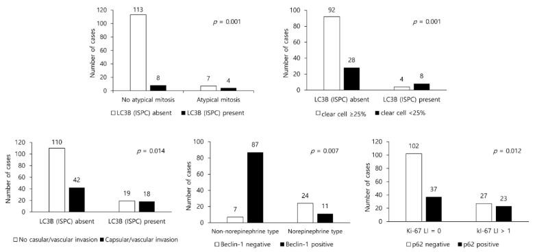 https://cdn.ncbi.nlm.nih.gov/pmc/blobs/a558/8508962/85c9a537d914/ijms-22-10490-g003.jpg