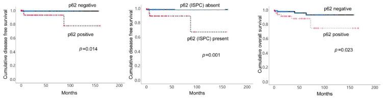 https://cdn.ncbi.nlm.nih.gov/pmc/blobs/a558/8508962/e4c76b0a5c13/ijms-22-10490-g004.jpg