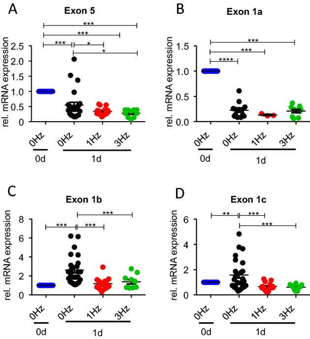 https://cdn.ncbi.nlm.nih.gov/pmc/blobs/a559/10219890/af0022bcb057/232_2023_284_Fig4_HTML.jpg