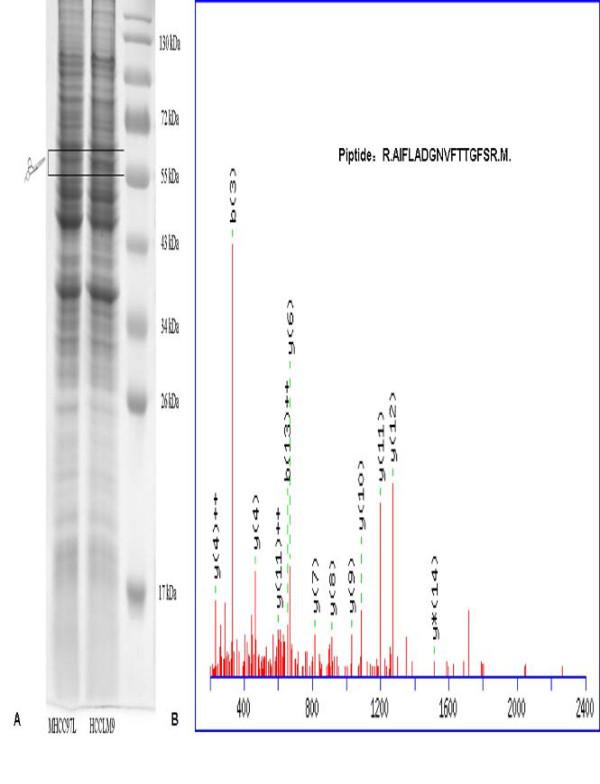 https://cdn.ncbi.nlm.nih.gov/pmc/blobs/a55a/2845108/213fc7571ffe/1756-9966-29-17-1.jpg