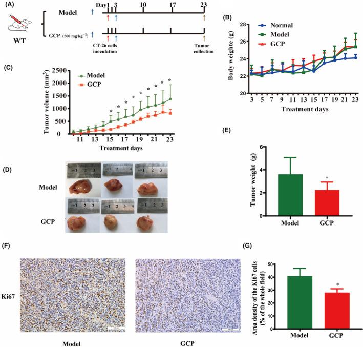 https://cdn.ncbi.nlm.nih.gov/pmc/blobs/a55b/11148121/1053b00f98b8/FEB4-14-1011-g005.jpg