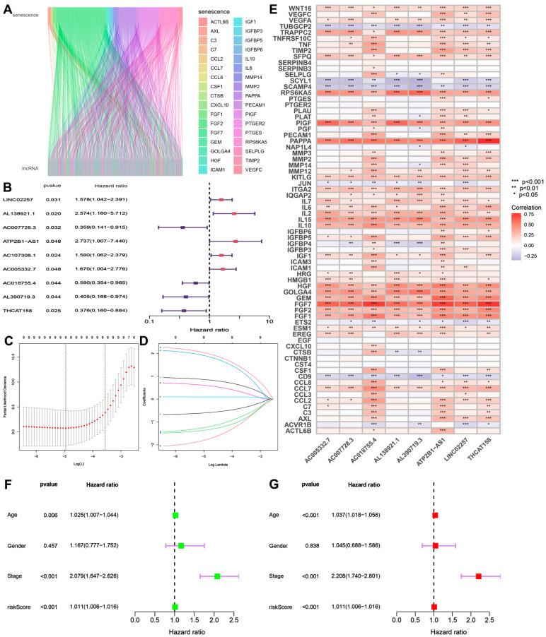 https://cdn.ncbi.nlm.nih.gov/pmc/blobs/a55b/12109385/9ace31f274b0/biomedicines-13-01088-g001.jpg