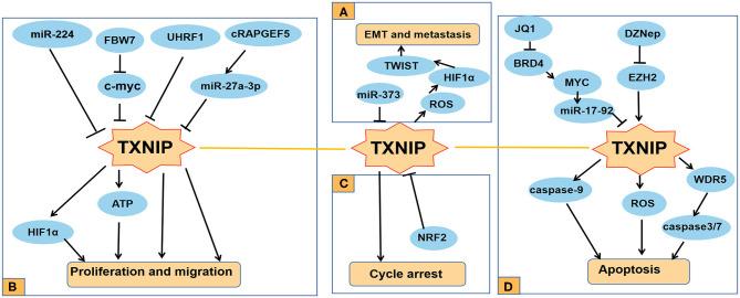 https://cdn.ncbi.nlm.nih.gov/pmc/blobs/a55b/7609813/50a2935b9703/fonc-10-568574-g0002.jpg