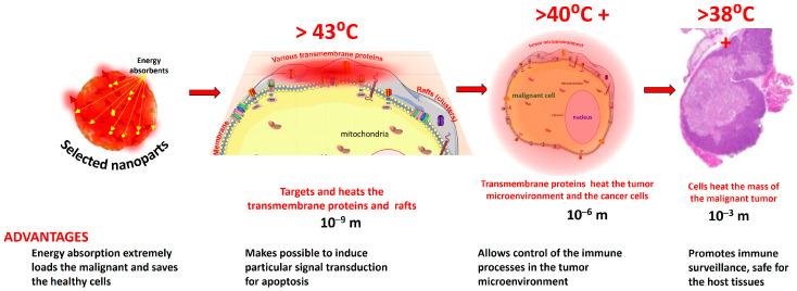 https://cdn.ncbi.nlm.nih.gov/pmc/blobs/a55c/11273694/2c21adf2cebf/bioengineering-11-00725-g004.jpg