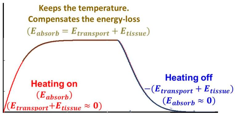 https://cdn.ncbi.nlm.nih.gov/pmc/blobs/a55c/11273694/744afc9c3883/bioengineering-11-00725-g010.jpg