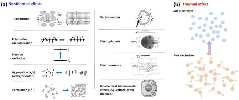 https://cdn.ncbi.nlm.nih.gov/pmc/blobs/a55c/11273694/81f6e3f8dcec/bioengineering-11-00725-g006.jpg