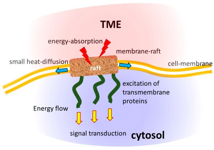 https://cdn.ncbi.nlm.nih.gov/pmc/blobs/a55c/11273694/a5a0c0d25bef/bioengineering-11-00725-g013.jpg