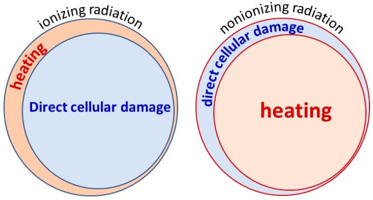https://cdn.ncbi.nlm.nih.gov/pmc/blobs/a55c/11273694/c72a751ef0b5/bioengineering-11-00725-g003.jpg