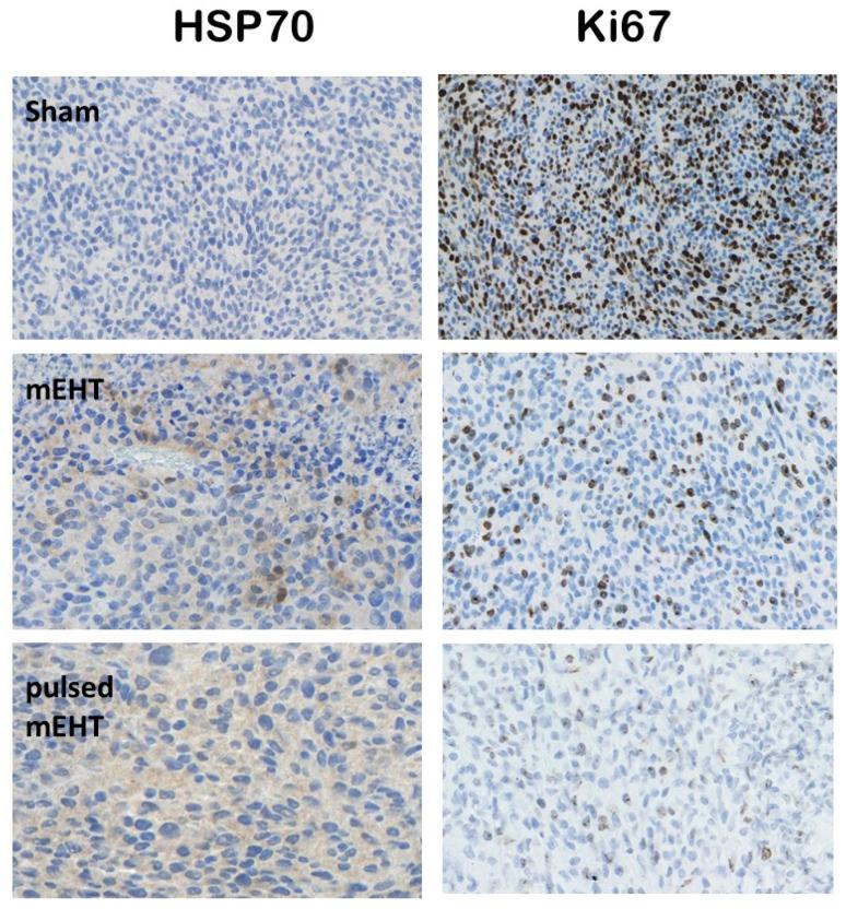 https://cdn.ncbi.nlm.nih.gov/pmc/blobs/a55c/11273694/dc5992469379/bioengineering-11-00725-g022.jpg