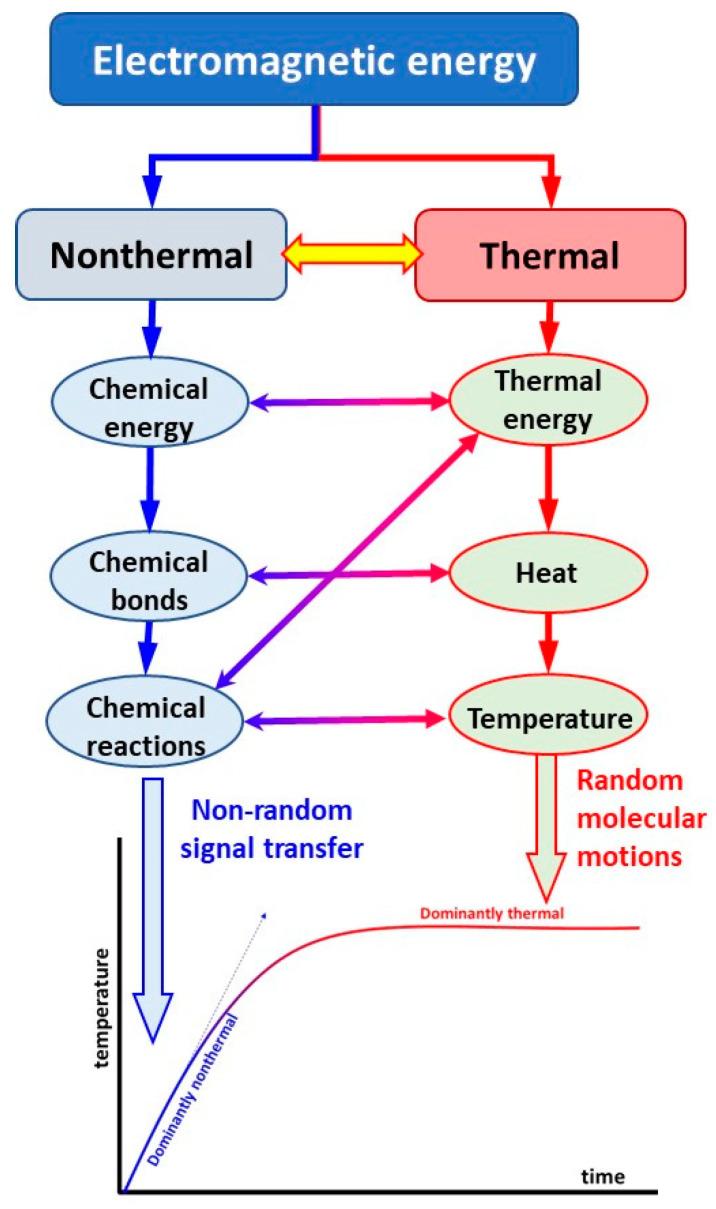 https://cdn.ncbi.nlm.nih.gov/pmc/blobs/a55c/11273694/f1fbb1c64a0f/bioengineering-11-00725-g015.jpg