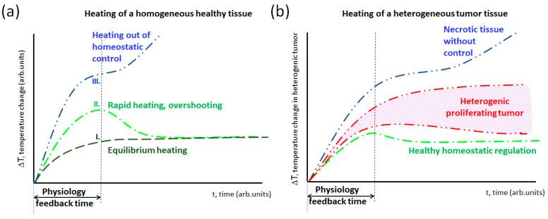 https://cdn.ncbi.nlm.nih.gov/pmc/blobs/a55c/11273694/fa7741c548c7/bioengineering-11-00725-g011.jpg