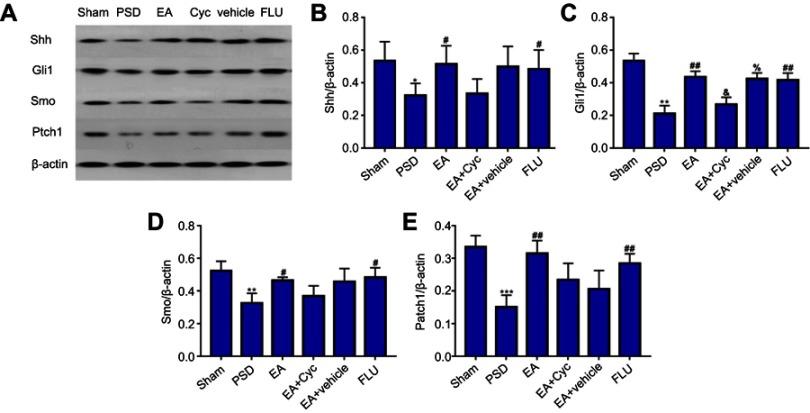 https://cdn.ncbi.nlm.nih.gov/pmc/blobs/a561/6536134/f2154ab1a9b7/NDT-15-1403-g0005.jpg