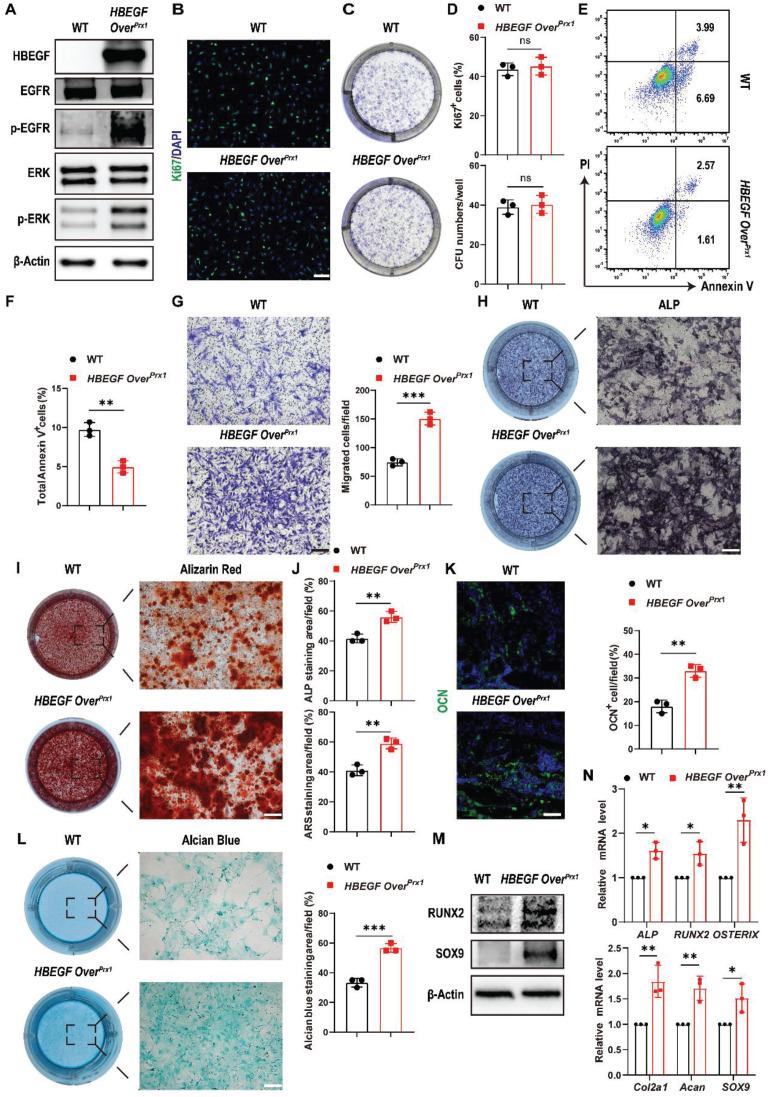 https://cdn.ncbi.nlm.nih.gov/pmc/blobs/a562/12374589/78ba0b470f9d/thnov15p8117g004.jpg