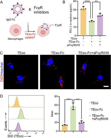 https://cdn.ncbi.nlm.nih.gov/pmc/blobs/a562/12412542/9363810ed32b/ADVS-12-e06409-g005.jpg