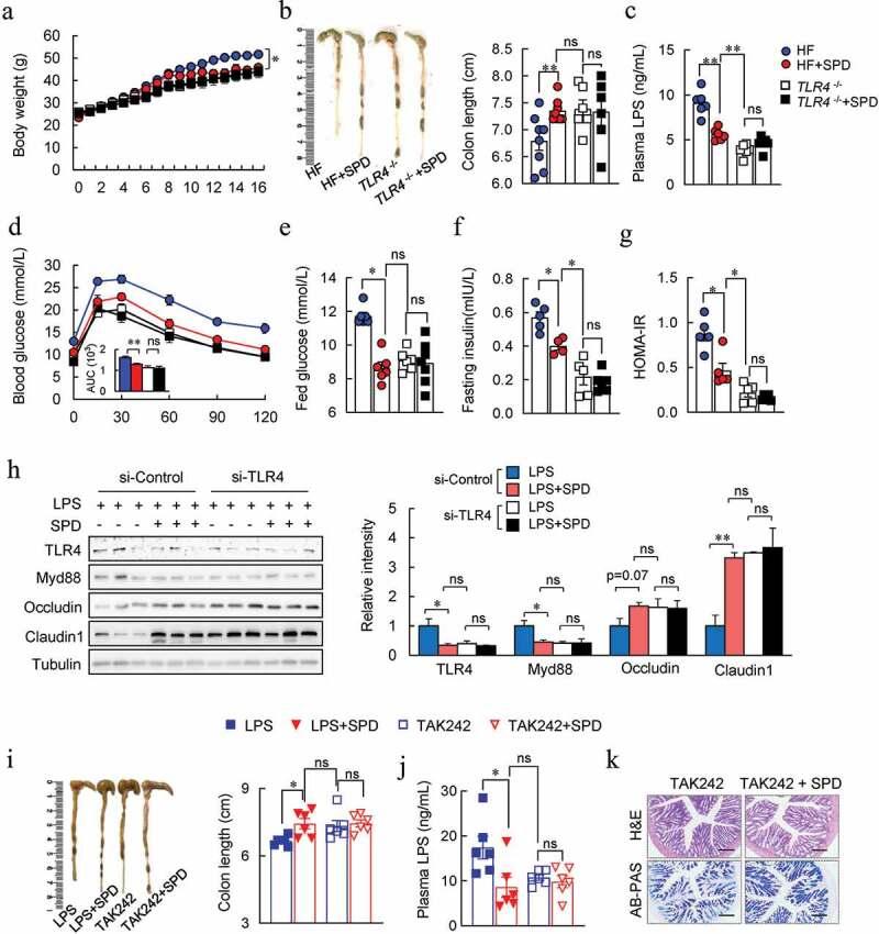 https://cdn.ncbi.nlm.nih.gov/pmc/blobs/a563/7668533/36590d5096a3/KGMI_A_1832857_F0007_OC.jpg