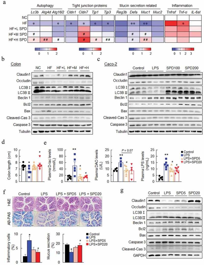 https://cdn.ncbi.nlm.nih.gov/pmc/blobs/a563/7668533/f3def96d2e70/KGMI_A_1832857_F0004_OC.jpg