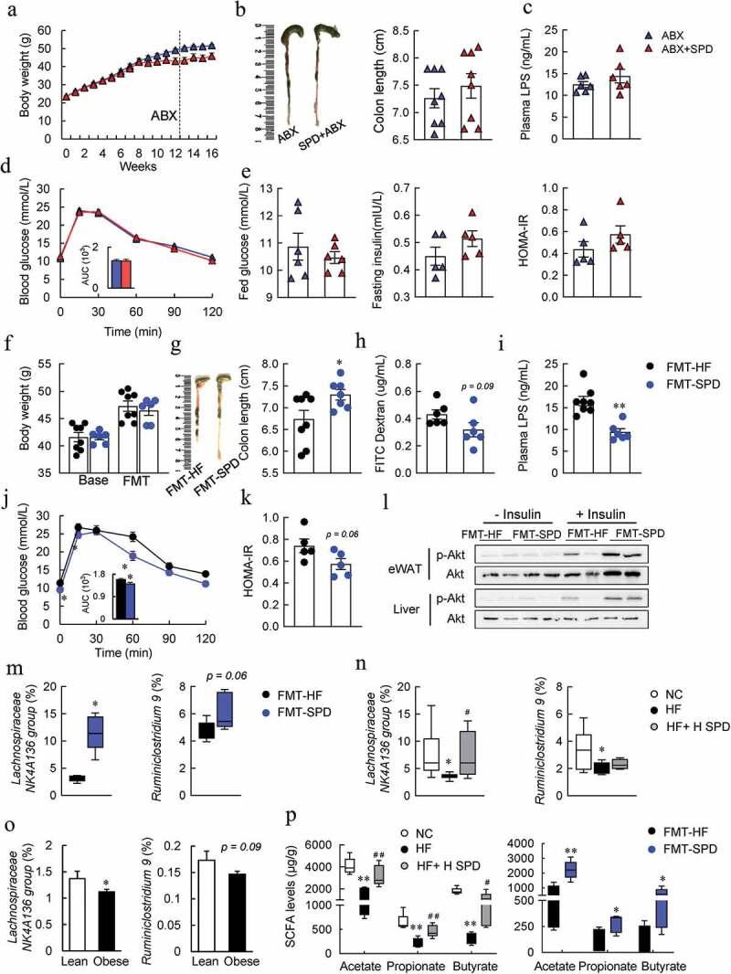 https://cdn.ncbi.nlm.nih.gov/pmc/blobs/a563/7668533/f98577c1e133/KGMI_A_1832857_F0006_OC.jpg