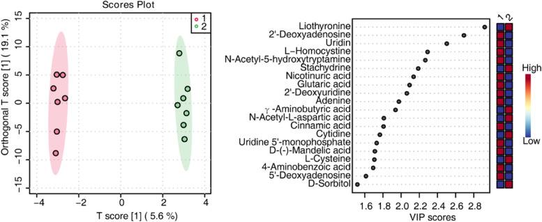 https://cdn.ncbi.nlm.nih.gov/pmc/blobs/a564/9700977/00ab4723b946/12944_2022_1737_Fig9_HTML.jpg