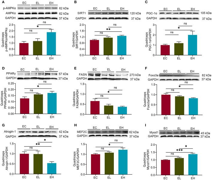 https://cdn.ncbi.nlm.nih.gov/pmc/blobs/a565/8645596/cec6109d8e7c/fmed-08-755803-g0003.jpg