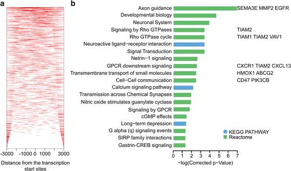 https://cdn.ncbi.nlm.nih.gov/pmc/blobs/a566/5606037/c5c9e5f6c1e6/13046_2017_599_Fig6_HTML.jpg