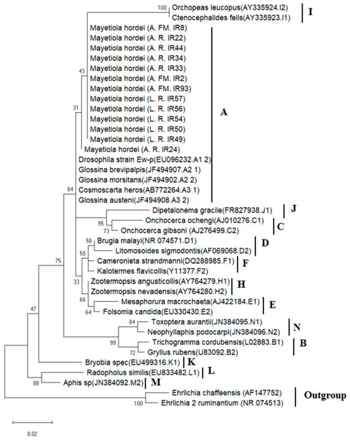 https://cdn.ncbi.nlm.nih.gov/pmc/blobs/a568/10051481/fbc557aba8af/microorganisms-11-00797-g001.jpg