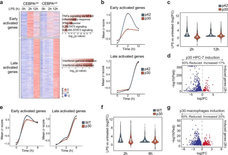 https://cdn.ncbi.nlm.nih.gov/pmc/blobs/a569/11993602/64a48cb0c364/41467_2025_58712_Fig3_HTML.jpg